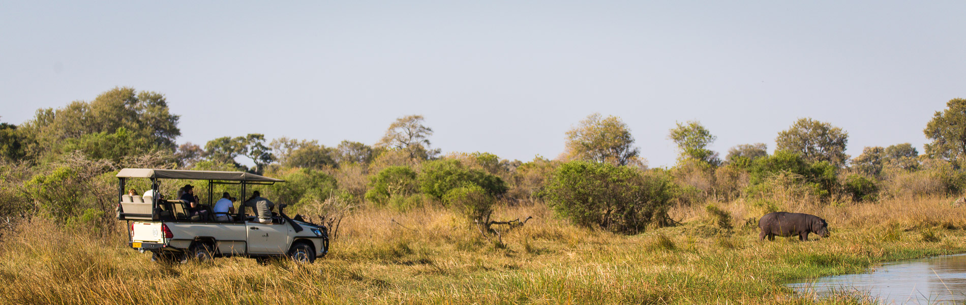 Game drive Sango