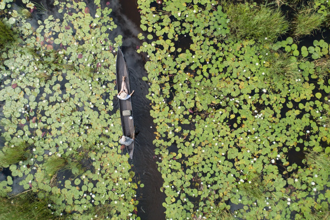 Mokoro 014 copy Large